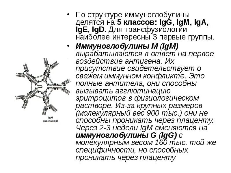 Иммуноглобулинов класса igg