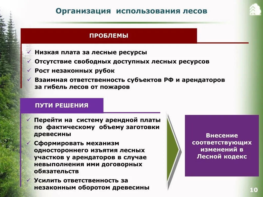 Организация использования лесов. Проблемы лесных ресурсов и пути их решения. Проблемы использования лесных ресурсов. Проблемы леса и пути их решения. Проблемы лесопользования.