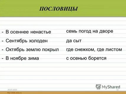 В ненастье род число