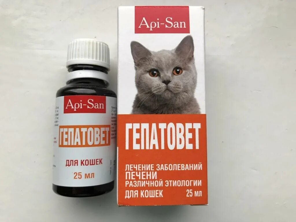 Можно кошкам давать печень