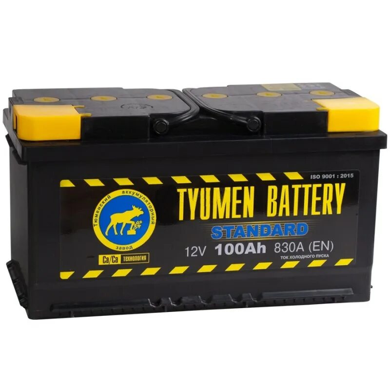 6ст-60lr Asia. Аккумулятор Tyumen Battery 6ст-100l Standard п.п.. АКБ Тюмень 100 а/ч. Tyumen Battery Standard 6ст-100 обр..