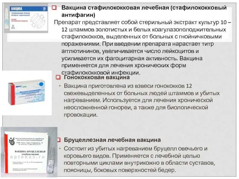 Гонококковая вакцина. Вакцина бруцеллезная инактивированная лечебная. Инактивированная гонококковая вакцина микробиология. Вакцина стафилококковая лечебная антифагин. Стафилококковая вакцина лечебная микробиология.