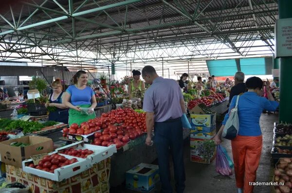 рузаевка старый базар. рузаевка ул революции 1905 года. ул 1905 года 19.