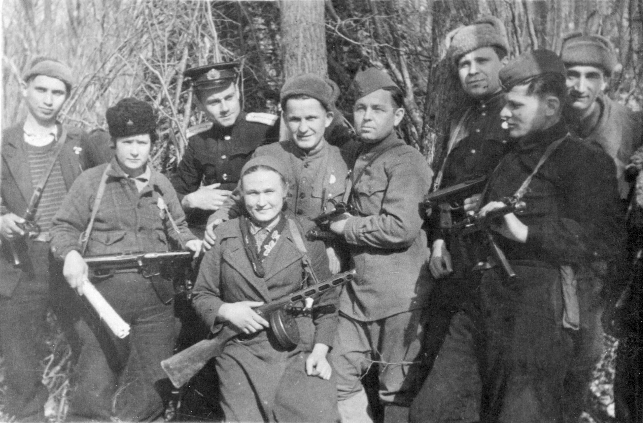 Нескольких партизанов