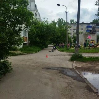 Пашинский елец