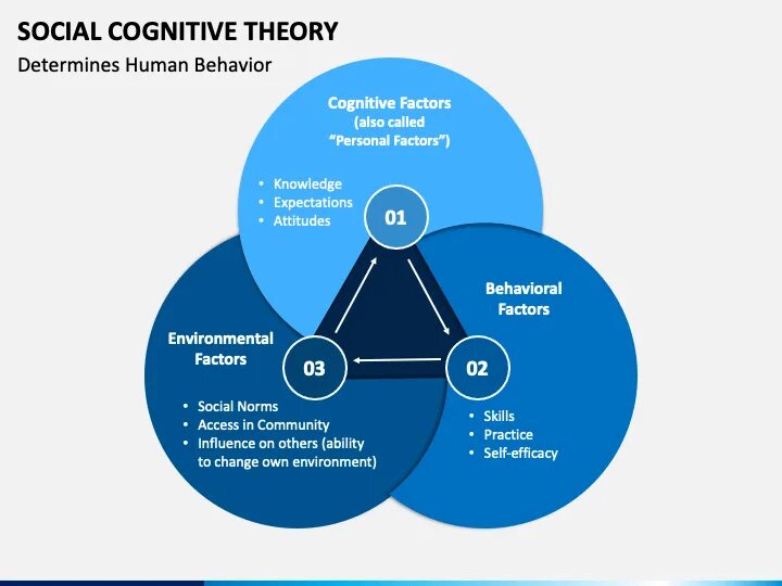 Social cognitive Theory Bandura. Social cognitive Theory модель. Psychology Theory. Cognitive Psychology Theories.