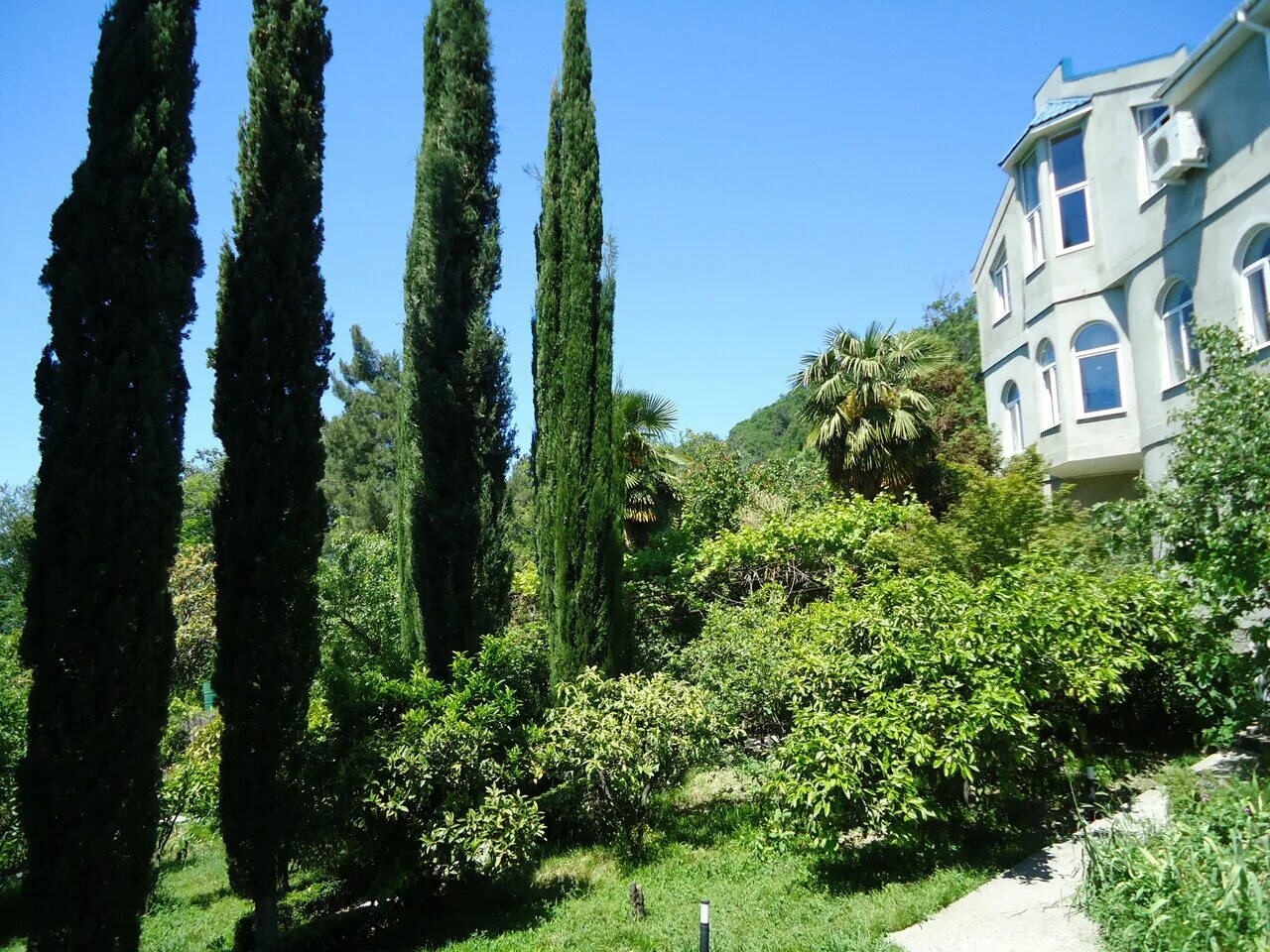 Реабилитация наркозависимых в сочи. Реабилитационный центр, счастливая жизнь, город сочи. Реабилитация центр сочи. Реабилитационный центр в сочи. Реабилитационный центр в сочи.