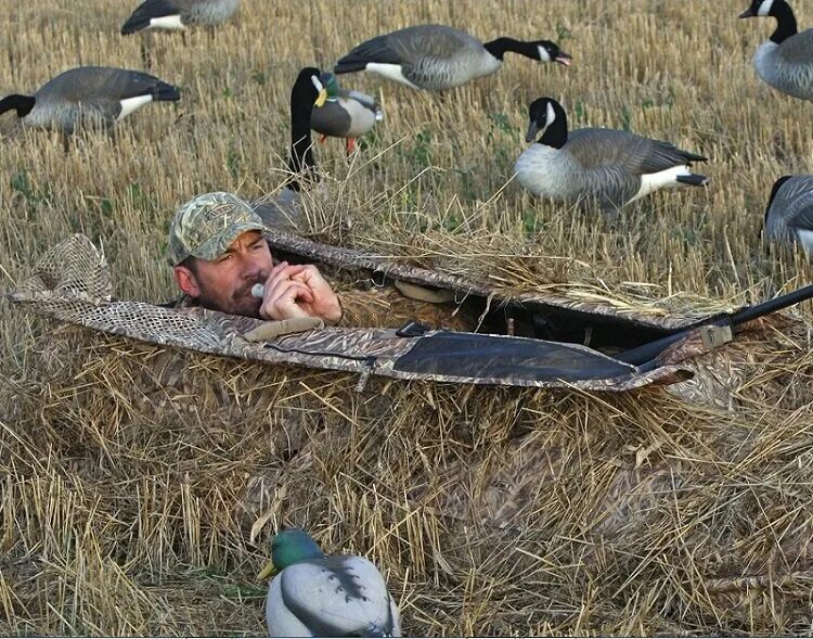 Охота гусей на полях