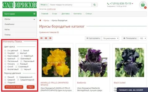 Поиск по названию