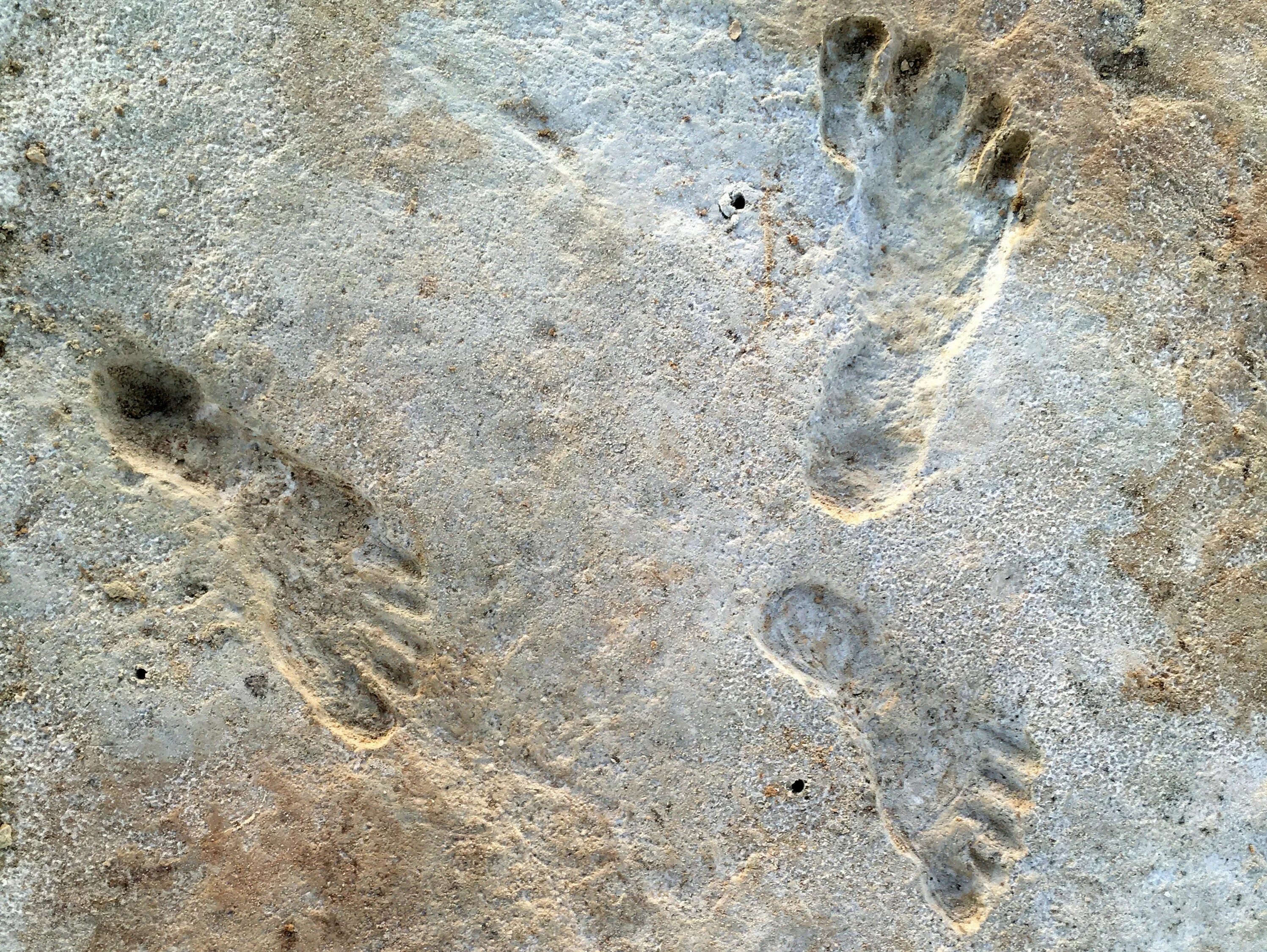 Индейцы следы. Следы древних людей. Самые древние следы человека. Отпечатки следов древних людей. Отпечаток ноги древнего человека.