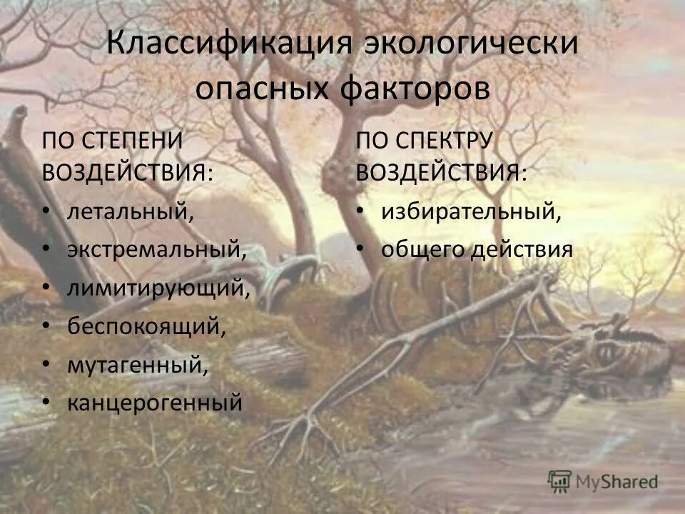 архитектурно строительные факторы. вещества опасные для здоровья человека. экологически опасные факторы. особенности экологической обстановки.