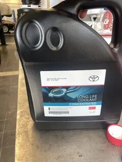 Антифриз lexus