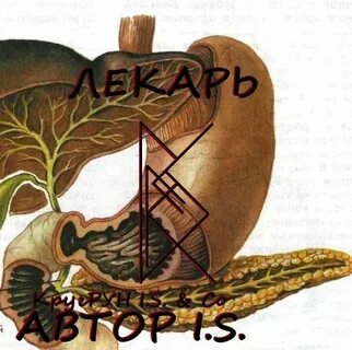Автор i
