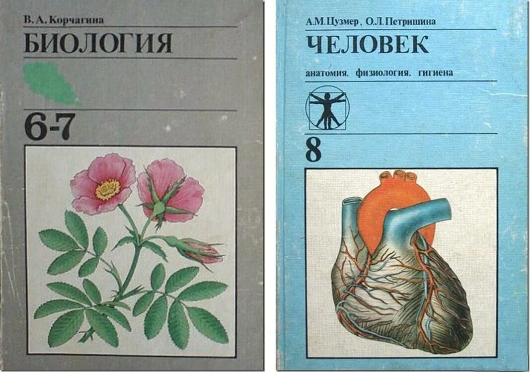 корчагина биология ботаника. ботаника 5-6. биология 7 класс светский учебник. корчагина. биология 5-6 корчагина.