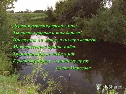 Пруд стих