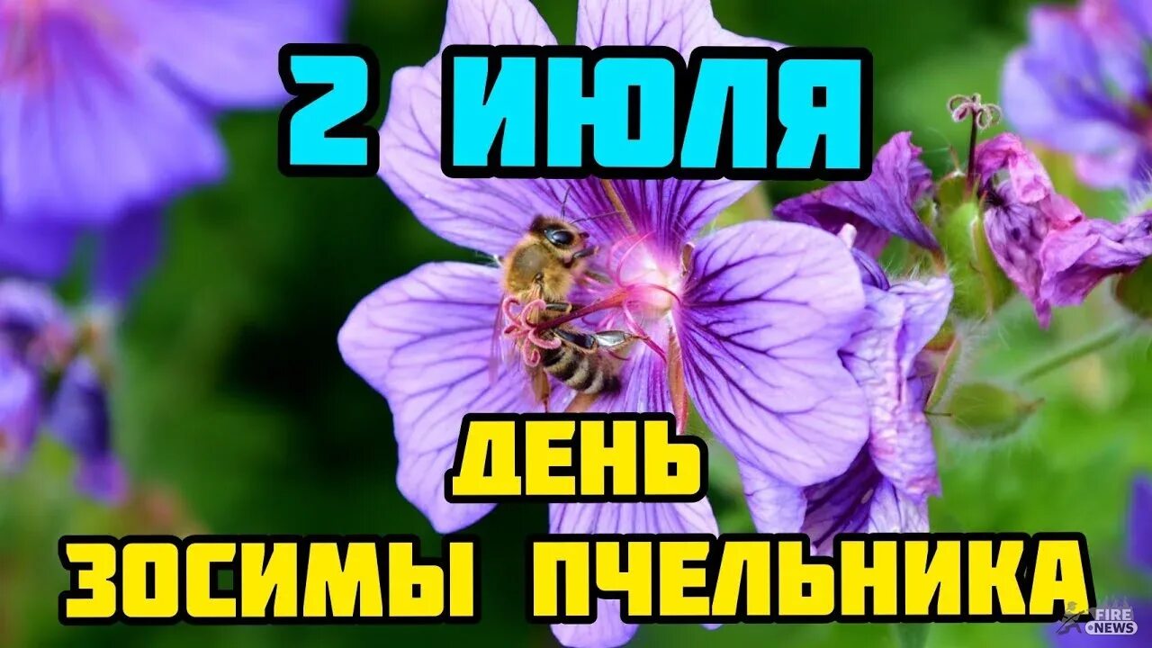 17 июня 2 июля