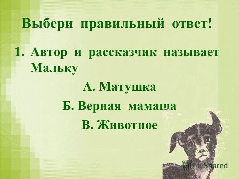 Малька провинилась краткое содержание. Малька провинилась. План по рассказу еще про мальку. План рассказа еще про мальку. Малек.