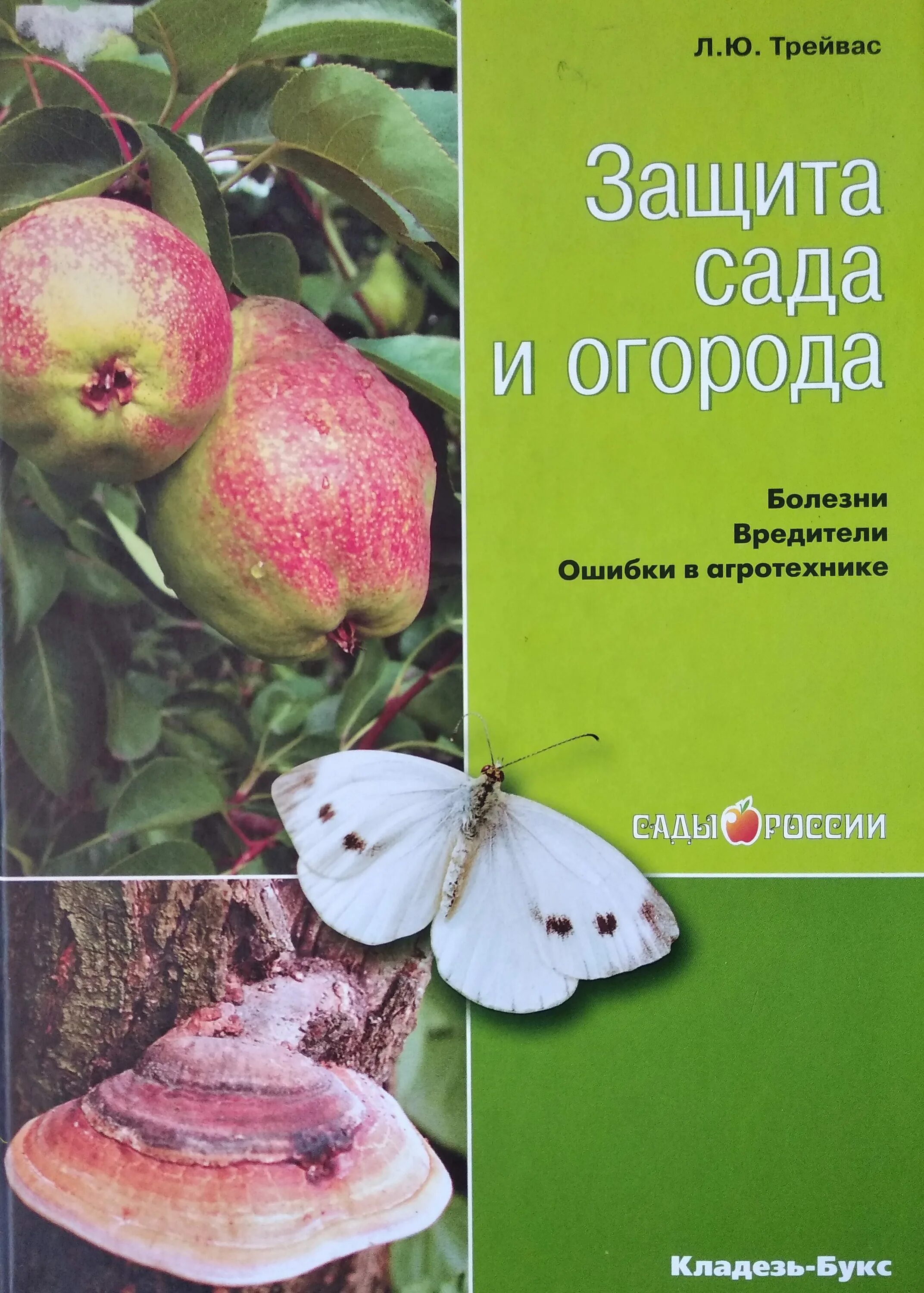 Им защита сада. Схема обработки плодовых деревьев от болезней. Опрыскивание сада. Им защита сада. Игра защита замка от насекомых.