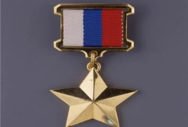 Звезда героя россии фото описание Герой (Алексей Половнёв) / Стихи.ру