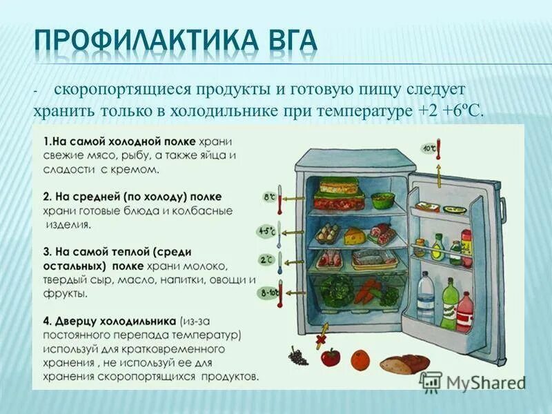 Можно ли хранить колбасу в холодильнике. Схема требования хранения продуктов. хранение продуктов в холодильнике. правильное хранение продуктов в холодильнике. продукты хранятся в холодильнике.