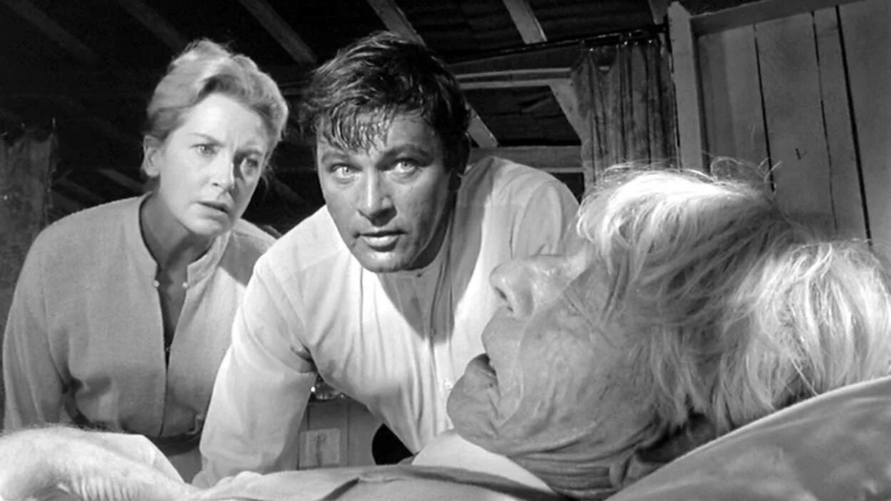 Ночь игуаны. The Night of the Iguana 1964.