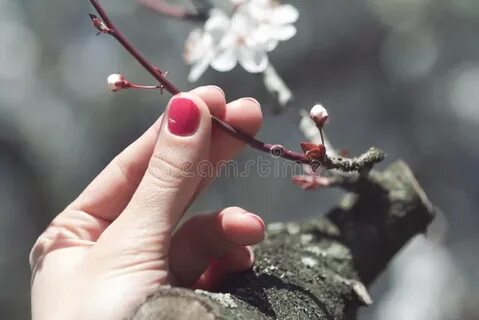 Руки как ветки