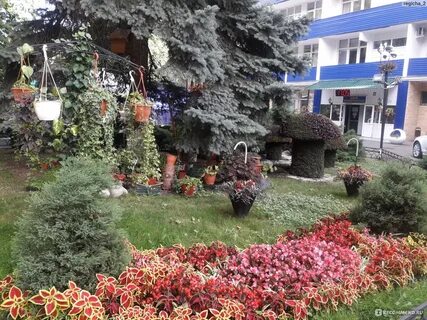 Зори ставрополья пятигорск лечение