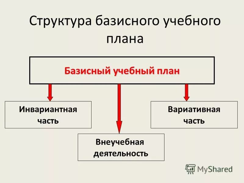 структура базисного учебного плана