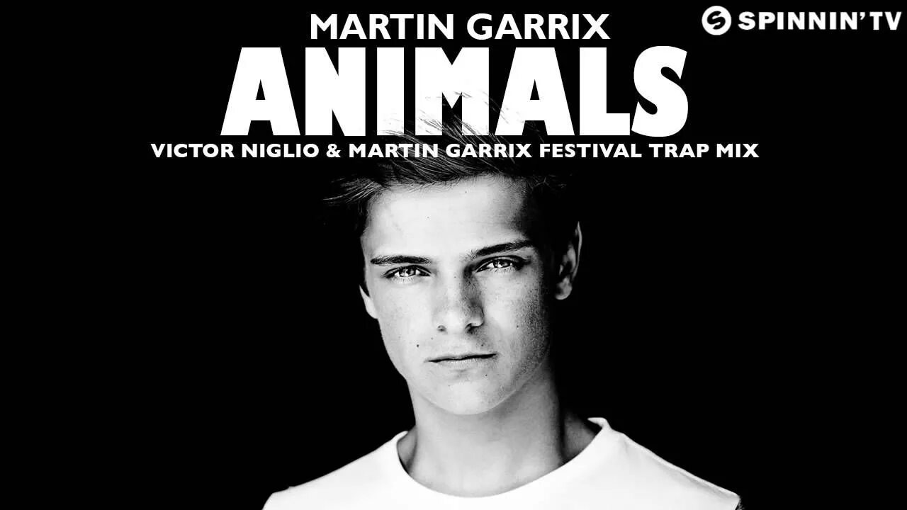 Песня garrix animals