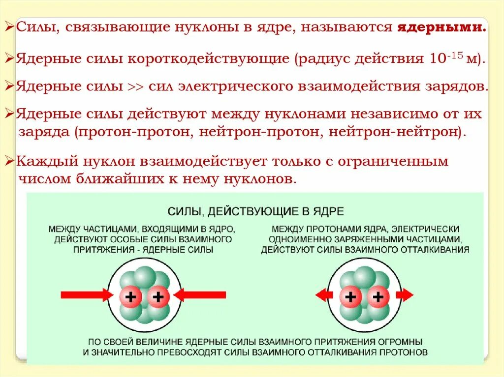 Какие силы действуют между нуклонами в ядрах