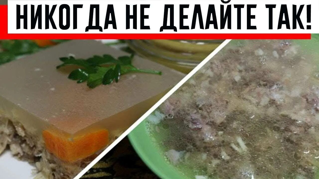 Когда добавить желатин в холодец при варке. Холодец не застыл. холодец застывает из чего. если не застыл холодец как исправить. испорченный холодец.