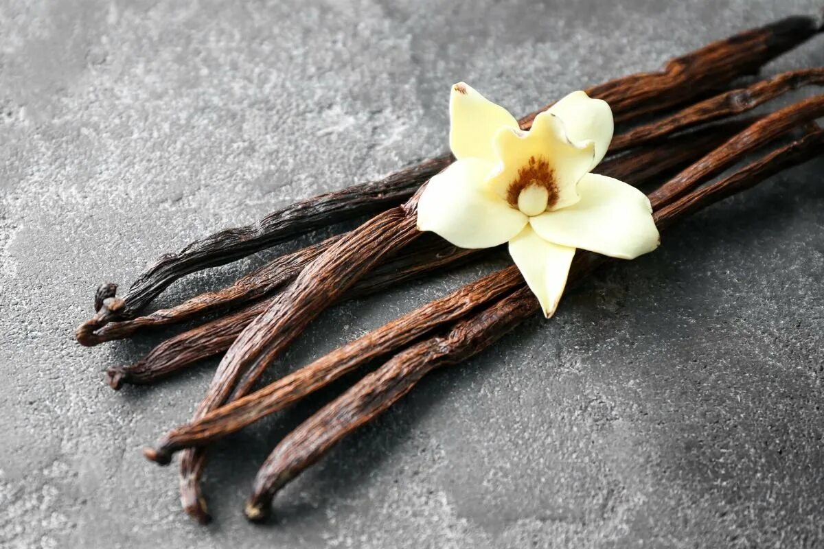 Vanilla tree