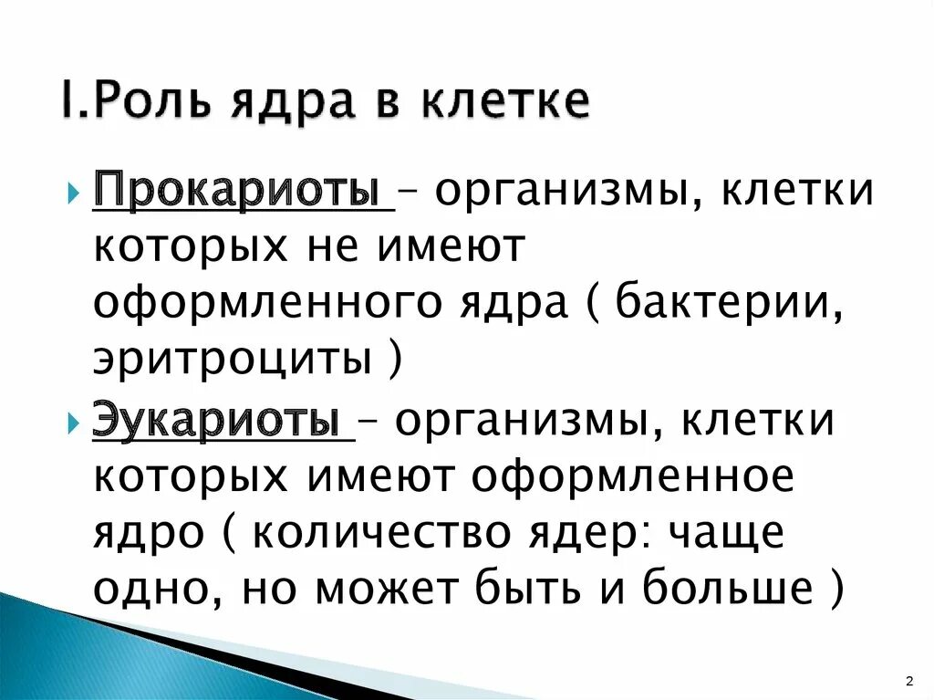 Роль ядра в жизнедеятельности клетки. Какое значение ядра в жизнедеятельности клетки