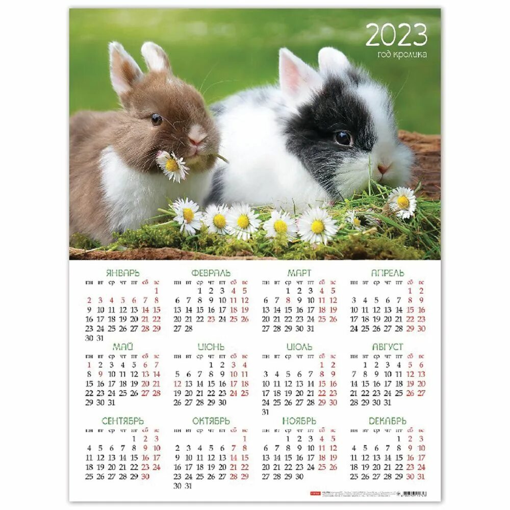 Табель календарь 2023. Календарь на 2023 год с кроликом. Табель календарь на 2023г. Табель на 2023 год производственный.