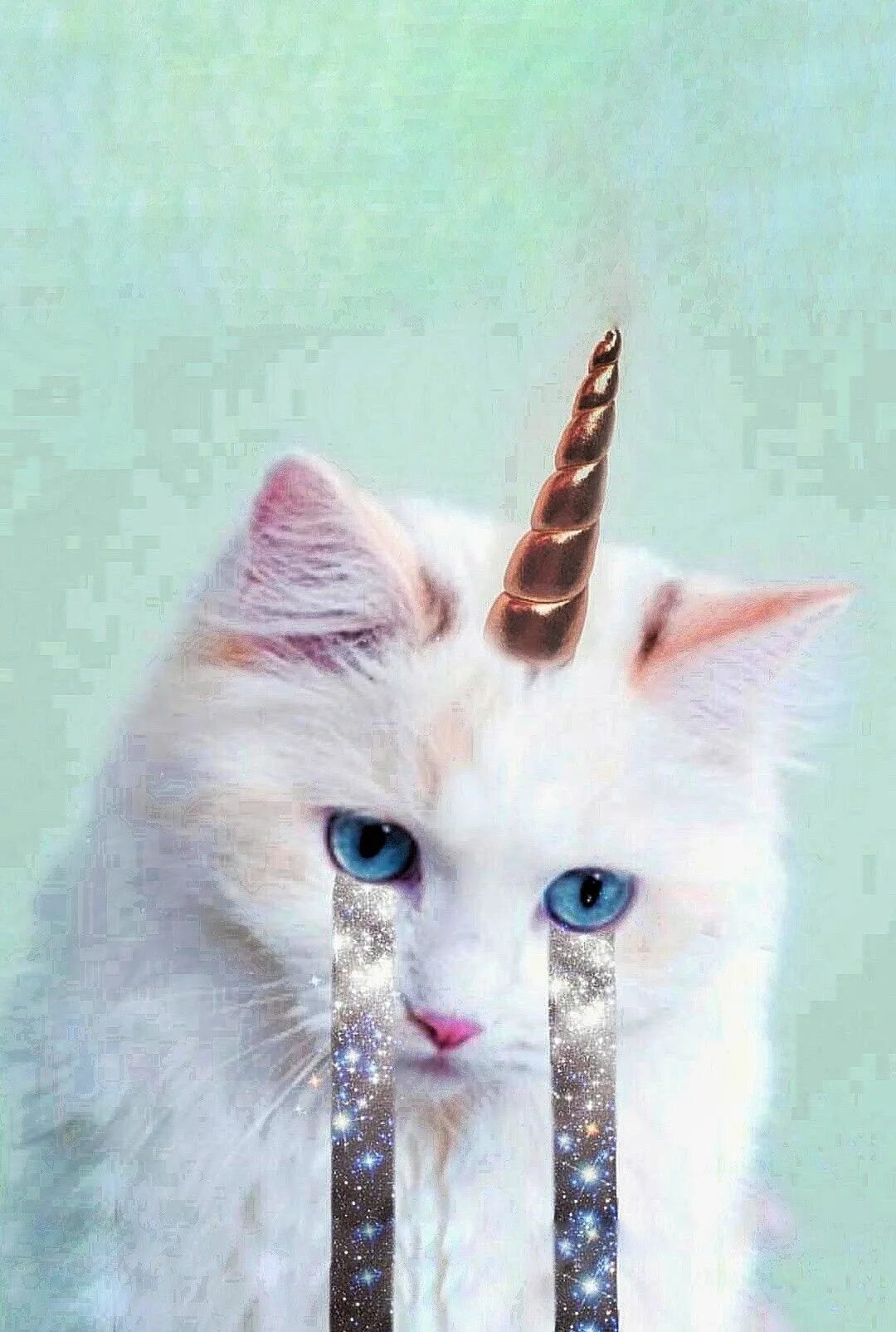 Кошечки единорожки. Единорог рисунок. Кот единорог. Котик единорожка. Кошка единорог настоящий.