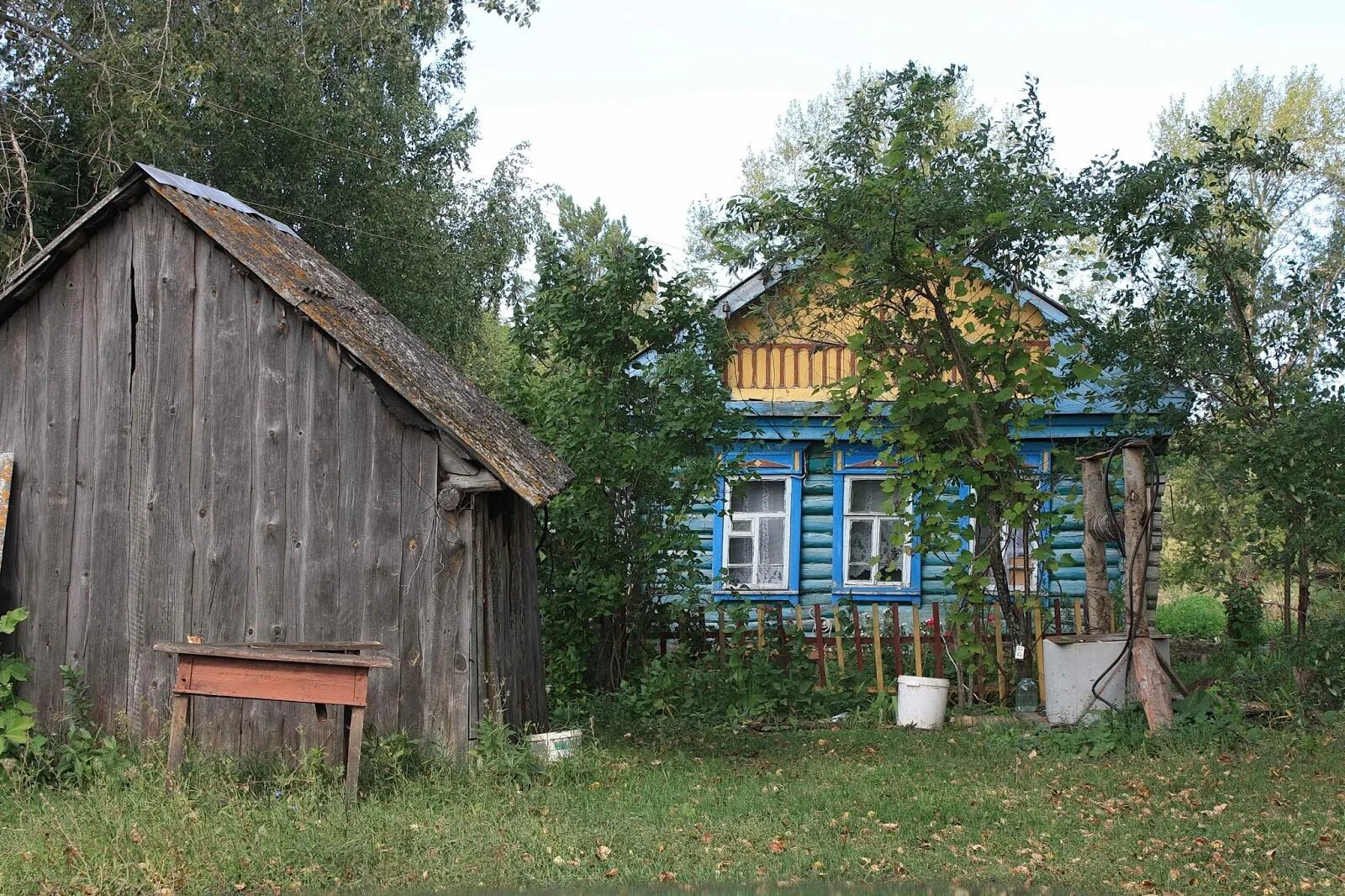 Погода в мордовских парках мордовия