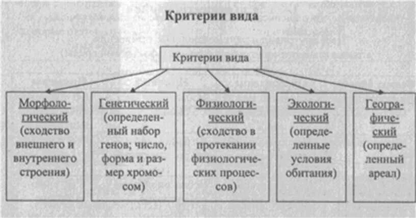 Структура мирового финансового рынка. Мировой финансовый рынок схема. Мировой финансовый рынок состав. Составляющие мирового рынка