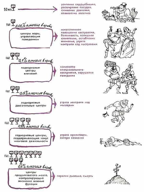 1 степень опьянения. Стадии опьянения. Этапы опьянения. Стадии опьянения картинки. Степени опьянения шуточные.