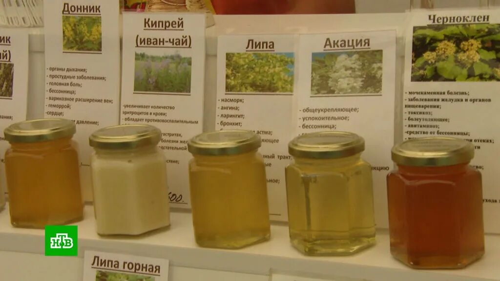 Какие сорта меда. Сорта меда. Виды мёда с фото и названиями. Ярмарка мёда в Коломенском. Ярмарка мёда в Коломенском в 2023.