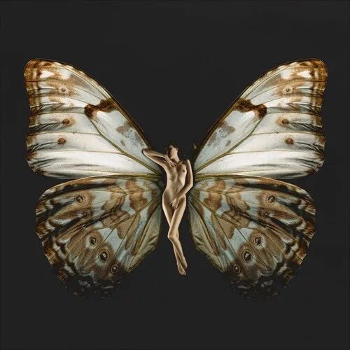Carsten Witte - Psyche