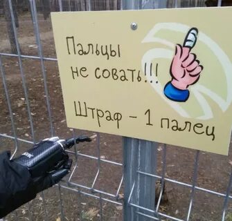 Куда совать пальцы