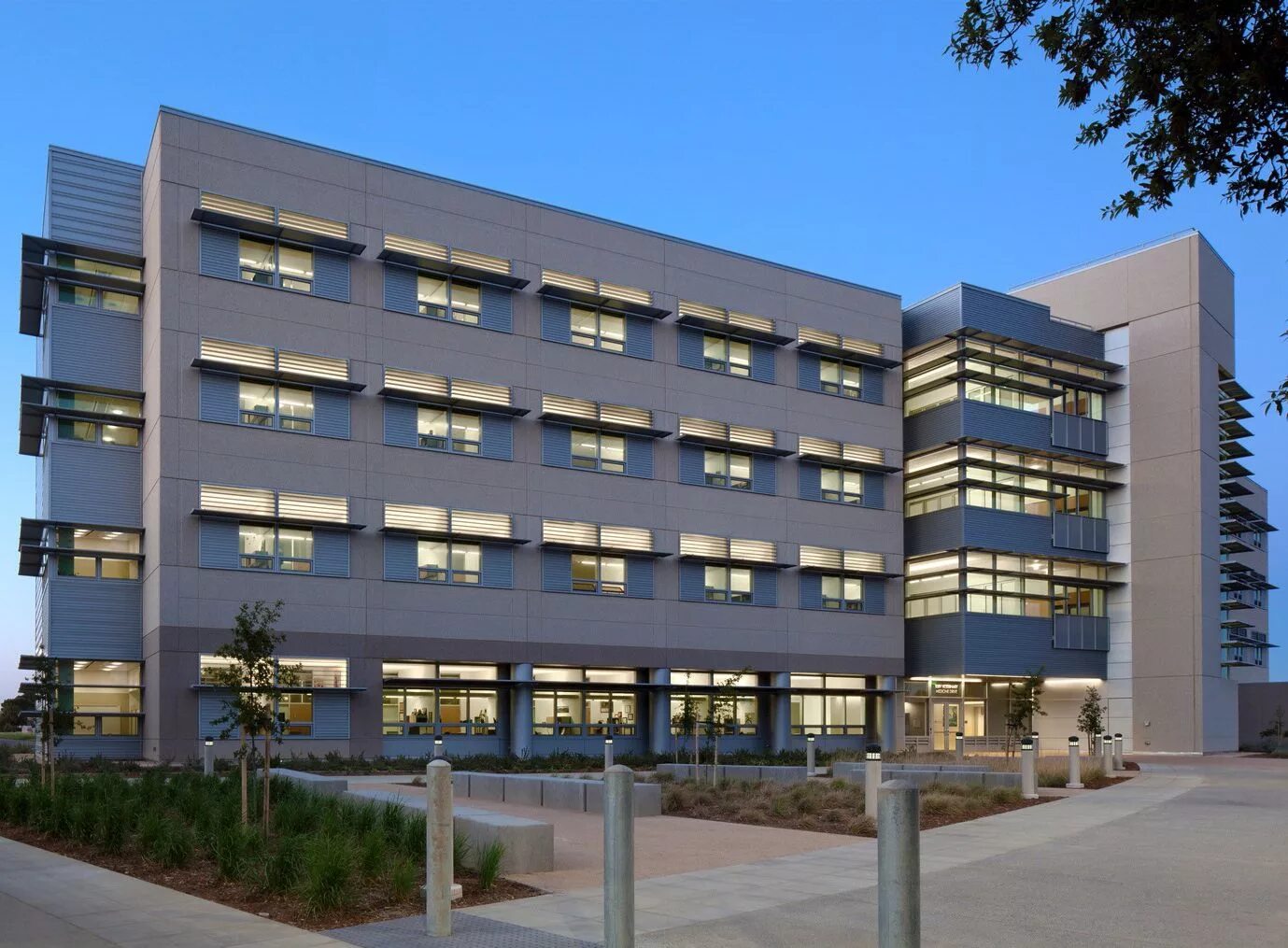 Davis город в калифорнии. Университет дэвиса калифорния. Дейвис (калифорния). Калифорнийский университет в дэвисе logo. Какой лучший колледж в сакраменто?.