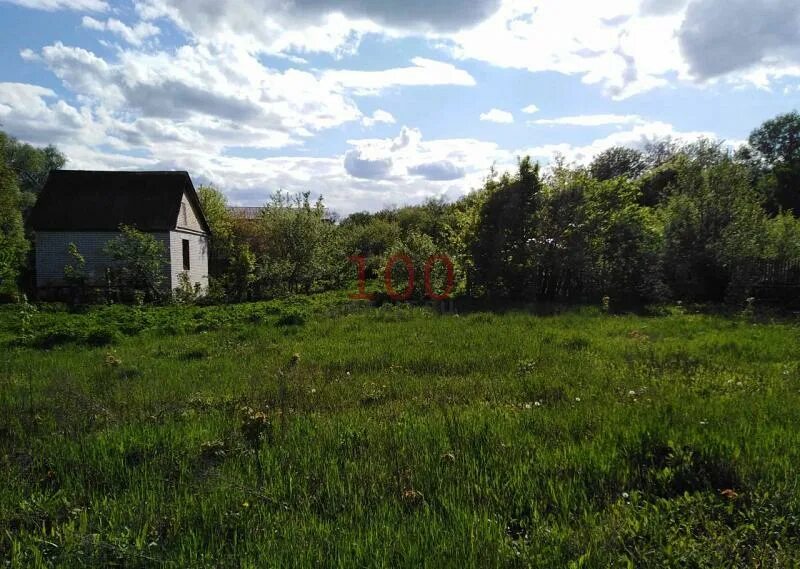 Дача в дуброва. Снт дубрава пенза. дача дубрава пенза. снт дубрава 2 пенза. участок снт дубрава 2 пенза.