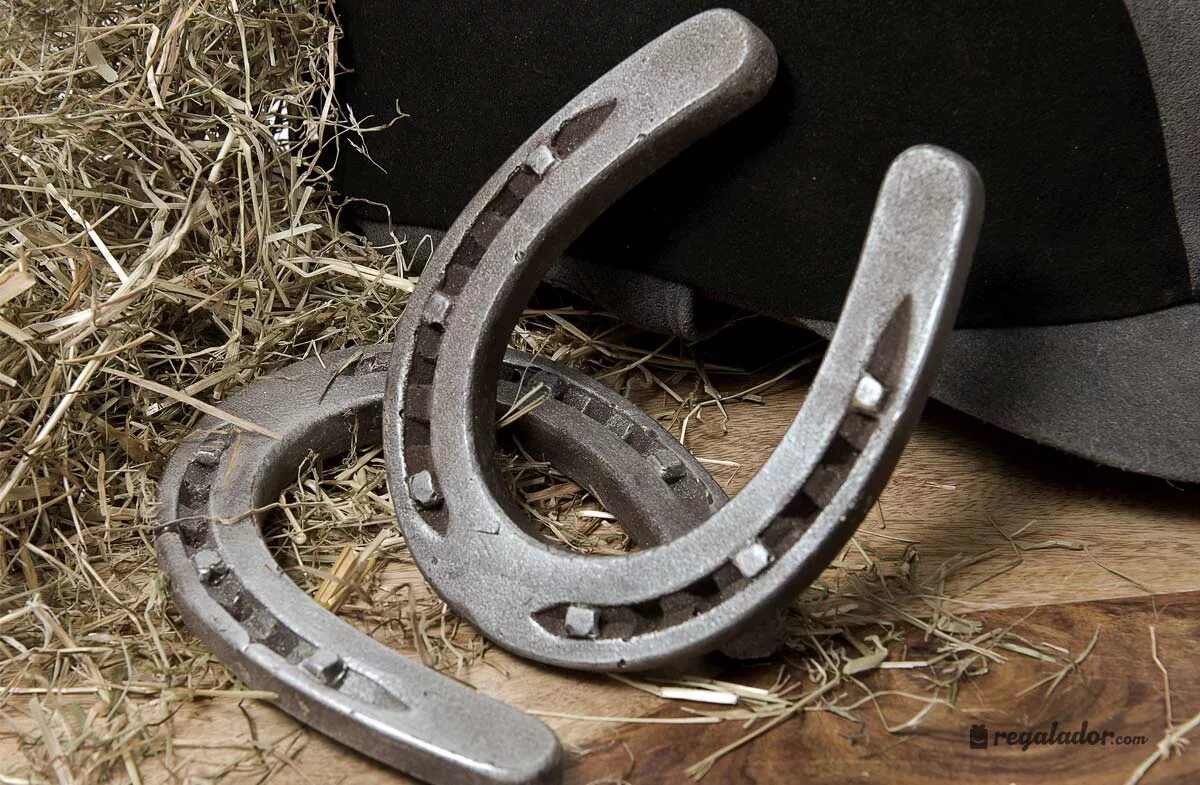 подкованная лошадь. подкова с лошадью. подкова кузнец подковывает лошадь. подкованный. подкова на копыте.