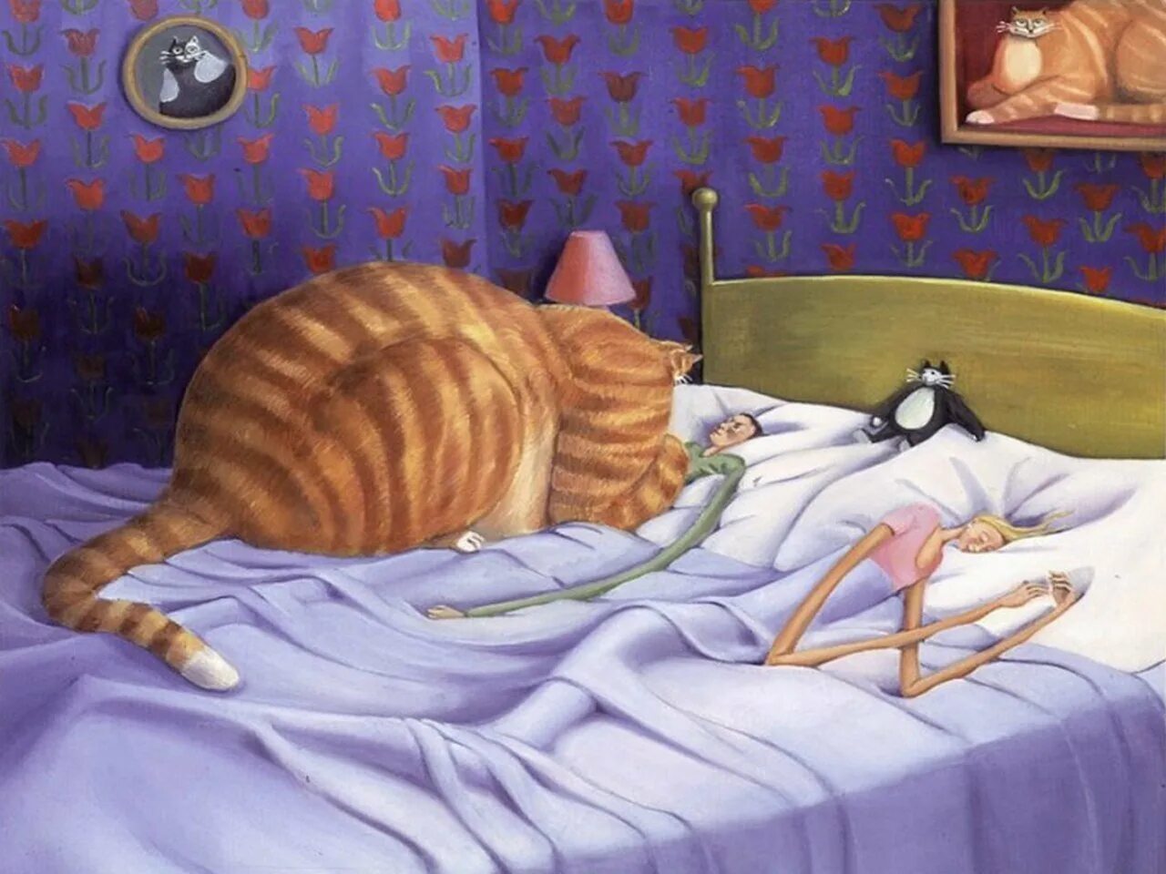 Прошлая жизнь кота. Художница sarah jane szikora. Ряльный кот. Котэ представляет. Прошлая жизнь кота.