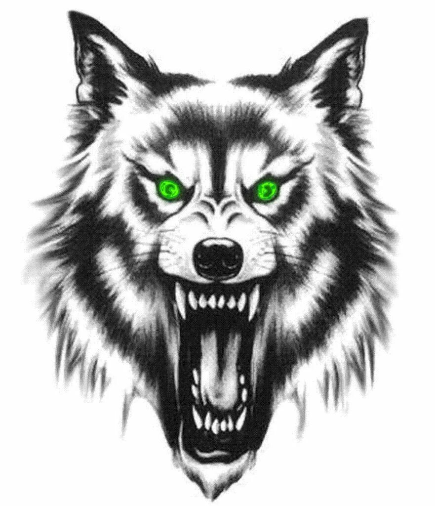 Татуировка голова волка. Волк фенрир эскиз тату. Фенрир волк тату. Тату морда волка. Оскал волка эскизы черно белые.