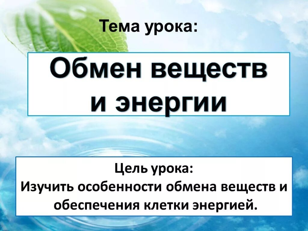 Обмен веществ растений урок. Обмен веществ и энергии. Тема обмен веществ и энергии. Обмен веществ это в биологии. Обмен веществ и энергии метаболизм.