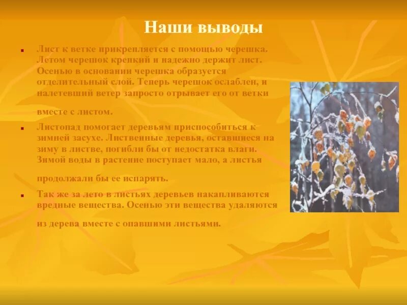 Сообщение листопад. Презентация листопад. вывод про осень. выводы про деревья осенью. презентация, листопад 5 класс.