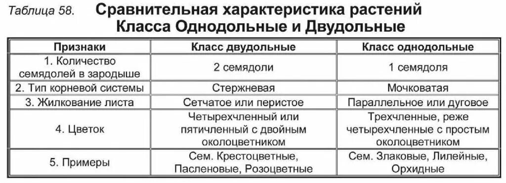 Класс однодольных и двудольных растений таблица. Однодольные и двудольные таблица сравнения. отличия однодольных и двудольных растений таблица. признак двудольные однодольные таблица 6 класс. характеристика однодольных и двудольных растений таблица.
