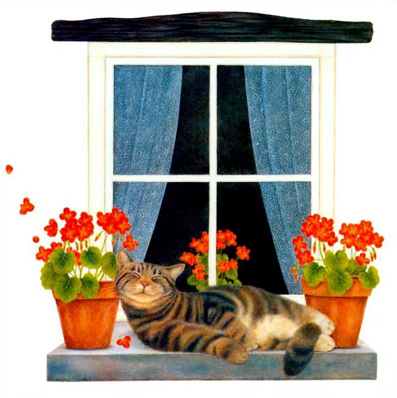 Окно с цветами. Красивый подоконник с цветами. На подоконнике на окошке. Подоконник с цветами. Кошка на окне.